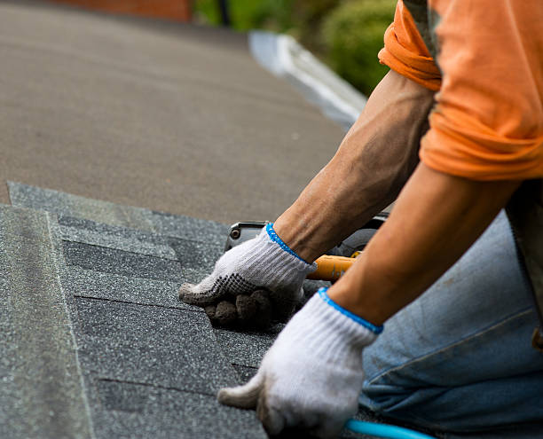 Best Metal Roofing Contractor  in Schertz, TX